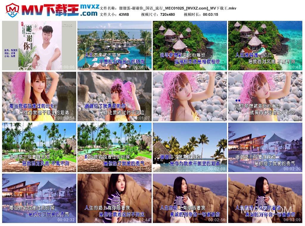 溜溜蛋-谢谢你_国语_流行_MEC01025